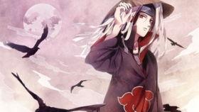 新春鼬爆料视频大全最新,揭秘娱乐圈最新动态