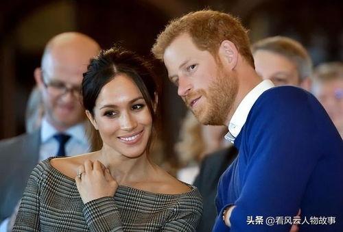 哈里梅根最新爆料  第1张